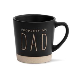 **MULTI 2** Demdaco Men's Collection Property of Dad Mug