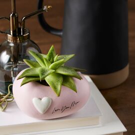 **MULTI 2** Demdaco Inspired Collection Small Planter - Mum