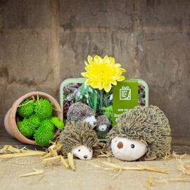Apples To Pears Gift In A Tin Sew Me Up Hedgehog & Hoglet