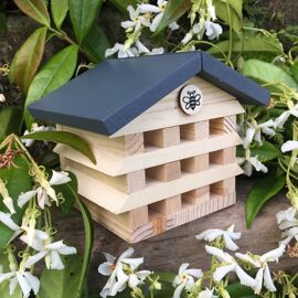**MULTI 6** Apples To Pears Gift In A Tin Build A Bee Hotel