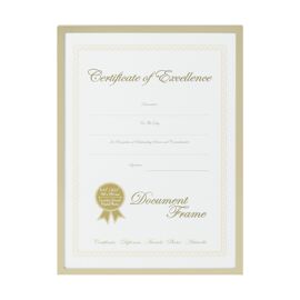 Gold Effect Surround Document A4 Size Frame