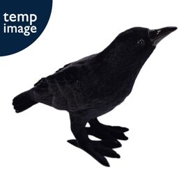 Flocked Crow