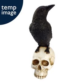 Raven On A Skull Looking Right