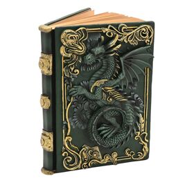 Mystic Legends Grüner Drache 3D-Notizbuch