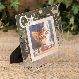 Best of Breed Glass Photo Frame 4" x 4" - Cat