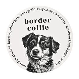 Best of Breed Ceramic Round Coaster - Border Collie