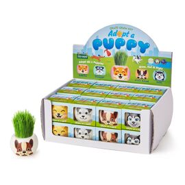 **ASTD MULTI 24** Adopt A Puppy Grass Hair Kit Collection