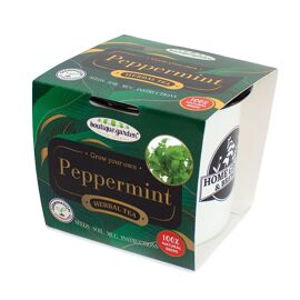 **MULTI 3** Boutique Garden New Peppermint Tea Garden