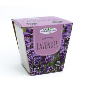 **MULTI 3** Boutique Garden Grown Your Own Lavender Pot