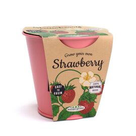 **MULTI 3** Boutique Garden Pastel Pot with Slate & Chalk Strawberry