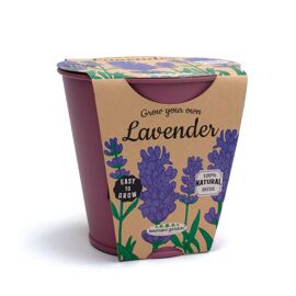 **MULTI 3** Boutique Garden Pastel Pot with Slate & Chalk Lavender