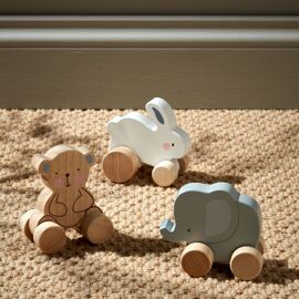 **ASTD MULTI 6** Bambino Wooden Toy Push Animals CDU 3 des