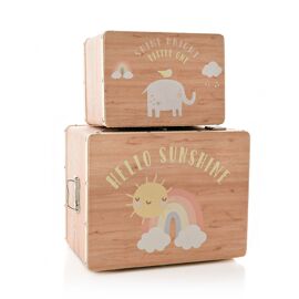 Petit Cheri Set of 2 Storage Boxes