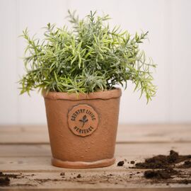Country Living Aged Herb Pot 10cm Diameter