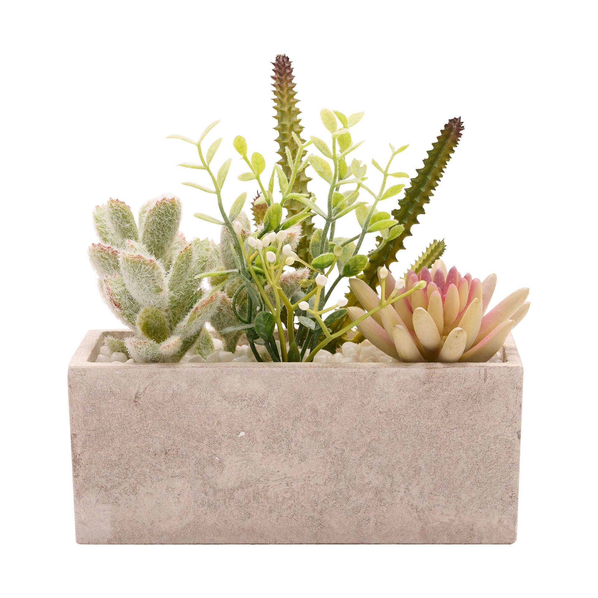 **MULTI 4** Artificial Succulent Plants in a Rectangular Display Pot