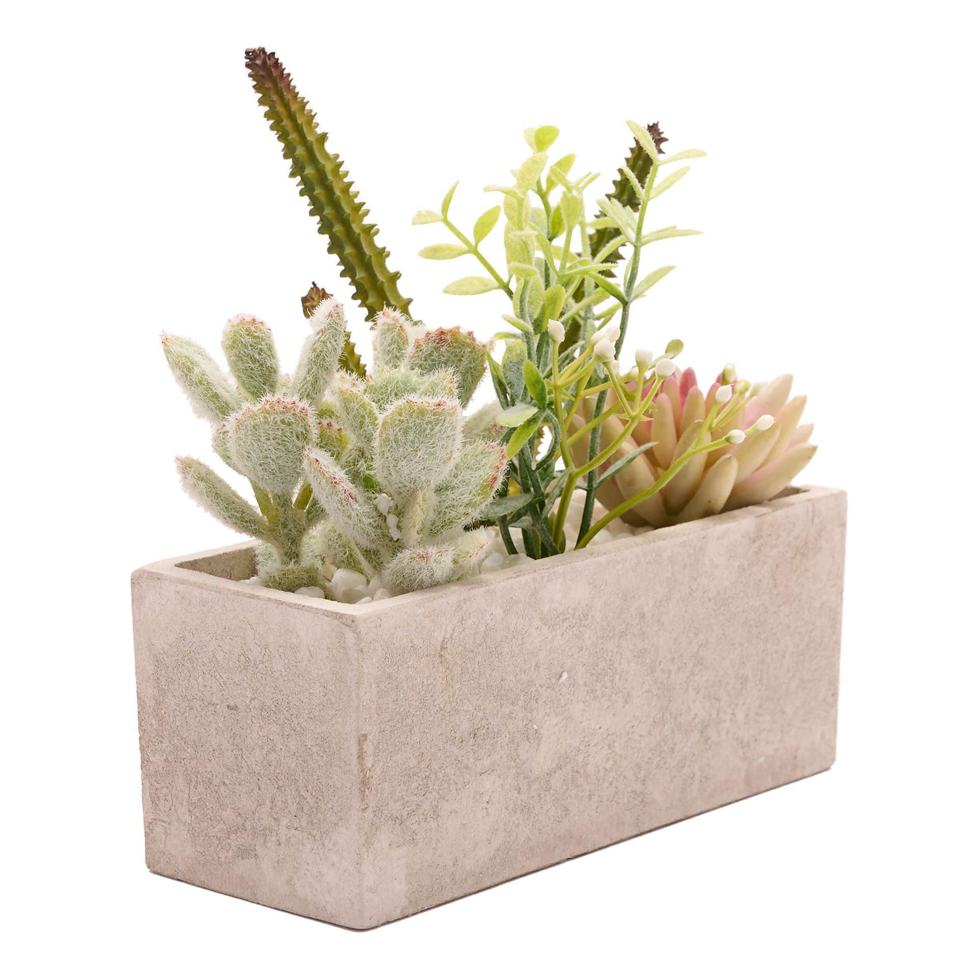 **MULTI 4** Artificial Succulent Plants in a Rectangular Display Pot