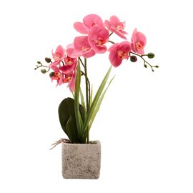 **MULTI 2** Artificial Dusky Pink  Potted Orchid