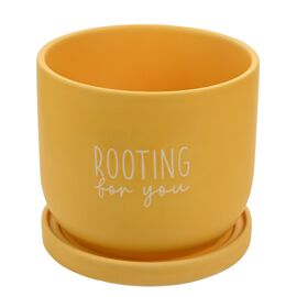 Country Living Ceramic Plant Pot - "Rooting For You"