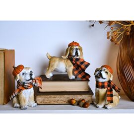 **MULTI 3**Country Living Autumnal Border Terrier