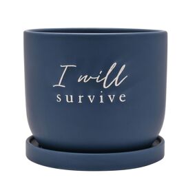 Country Living Ceramic Plant Pot - "I Will Survive"