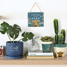 Country Living Ceramic Plant Pot - "I Will Survive"