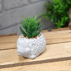 **Multi 6** Cement Effect Hedgehog Planter with Succulent
