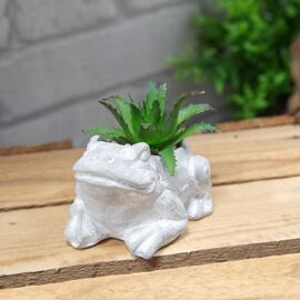 **Multi 6** Cement Effect Frog Planter with Succulent