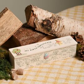 Disney Winnie The Pooh & Friends Birth Certificate Tube