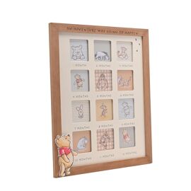 Disney Winnie The Pooh First Year Photo Frame