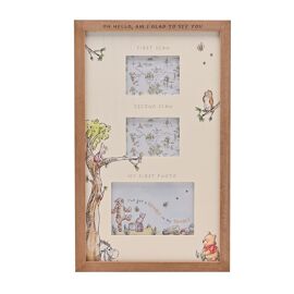 Disney Winnie The Pooh Multi Aperture Scan Frame