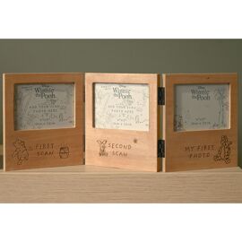 Disney Winnie The Pooh Folding Multi Aperture Scan Frame
