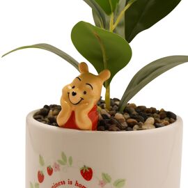 Disney Winnie Planter with 3D Winnie