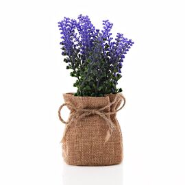 Small Lavender in Hessian Bag 15cm
