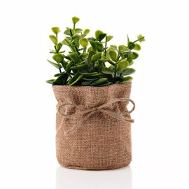 Small Green Faux Plant in Hessian Bag 15.5 cm