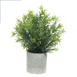 **Multi 3** Plants in Stone Effect Pot