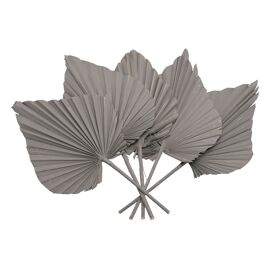 **MULTI 8** Hestia King Palm Spears Bunch - Grey 60cm