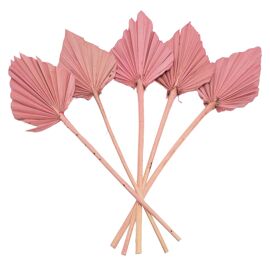 **MULTI 8** Hestia Palm Spears Bunch - Pink 45cm