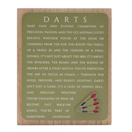 **MULTI 6** Hobbies By Harvey Plaque - Darts
