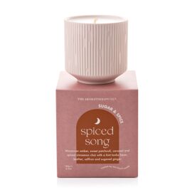 Sugar & Spice Soy 180g Candle - Spiced Song