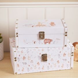 Little Roglets Storage Box