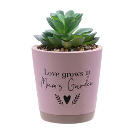 **MULTI 3** Moments Faux Succulent Mum's Garden