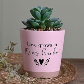 **MULTI 3** Moments Faux Succulent Mum's Garden