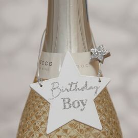 **MULTI 6** Milestones Mini Hanging Tag - Birthday Boy