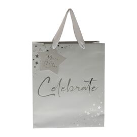 **MULTI 6** Milestones Medium Gift Bag Celebrate