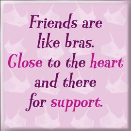 **MULTI 6** Magnet Friends Are Like Bras