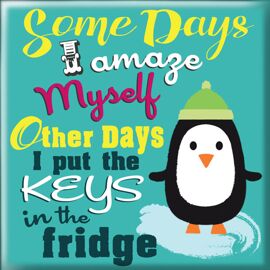 **MULTI 6** Magnet Some Days I Amaze Myself