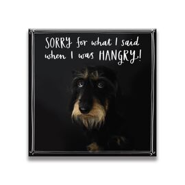 **MULTI 6** Magnet Sorry For What I Said When I Was Hangry