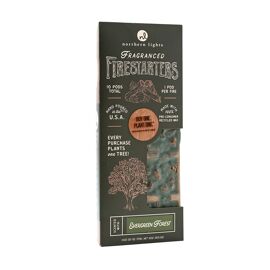 Northern Lights Firestarters - Evergreen Forest
