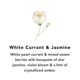 **MULTI 3** Northern Lights Wax Melts Jar 7oz - White Currant & Jasmine