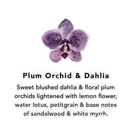 **MULTI 3** Northern Lights Wax Melts Jar 7oz - Plum Orchid & Dahlia